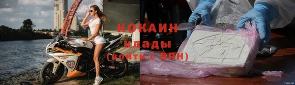 твердый Алексин