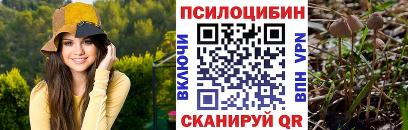 Галлюциногенные грибы GOLDEN TEACHER  цена   Ковдор 