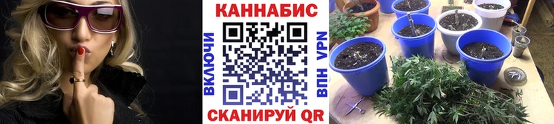Бошки Шишки Amnesia  купить наркотик  Ковдор 